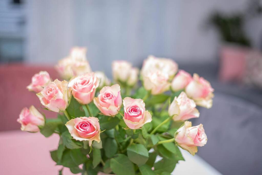 Feel Like Home Podstrana Ngoại thất bức ảnh